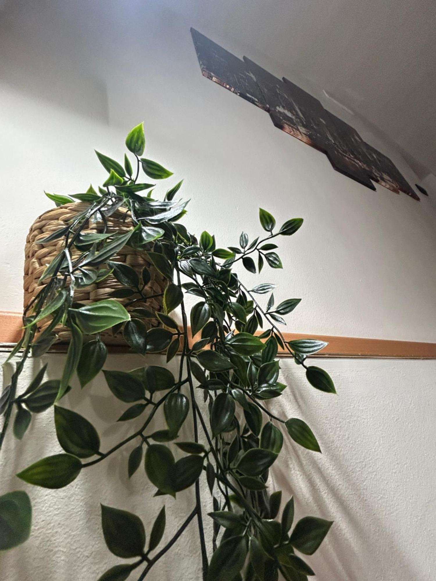 Salette Home Катания Екстериор снимка